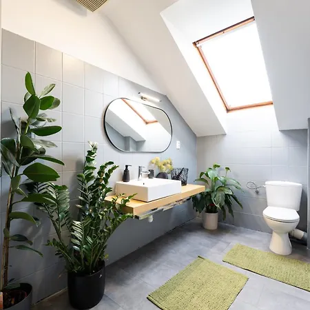 Urban Bloom By Booky