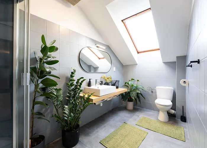 Urban Bloom By Booky