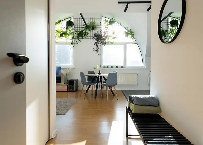 Urban Bloom By Booky